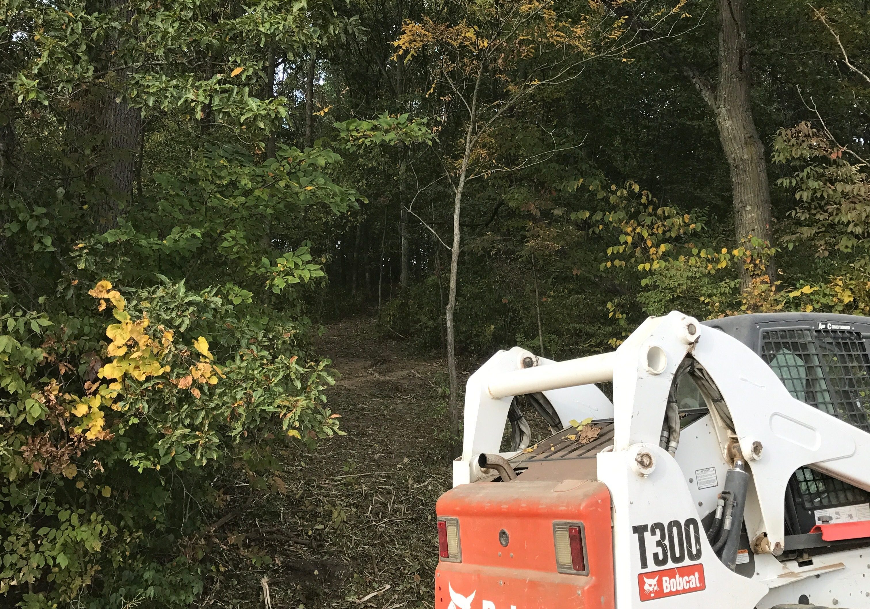 Forestry mulching trails in woods 