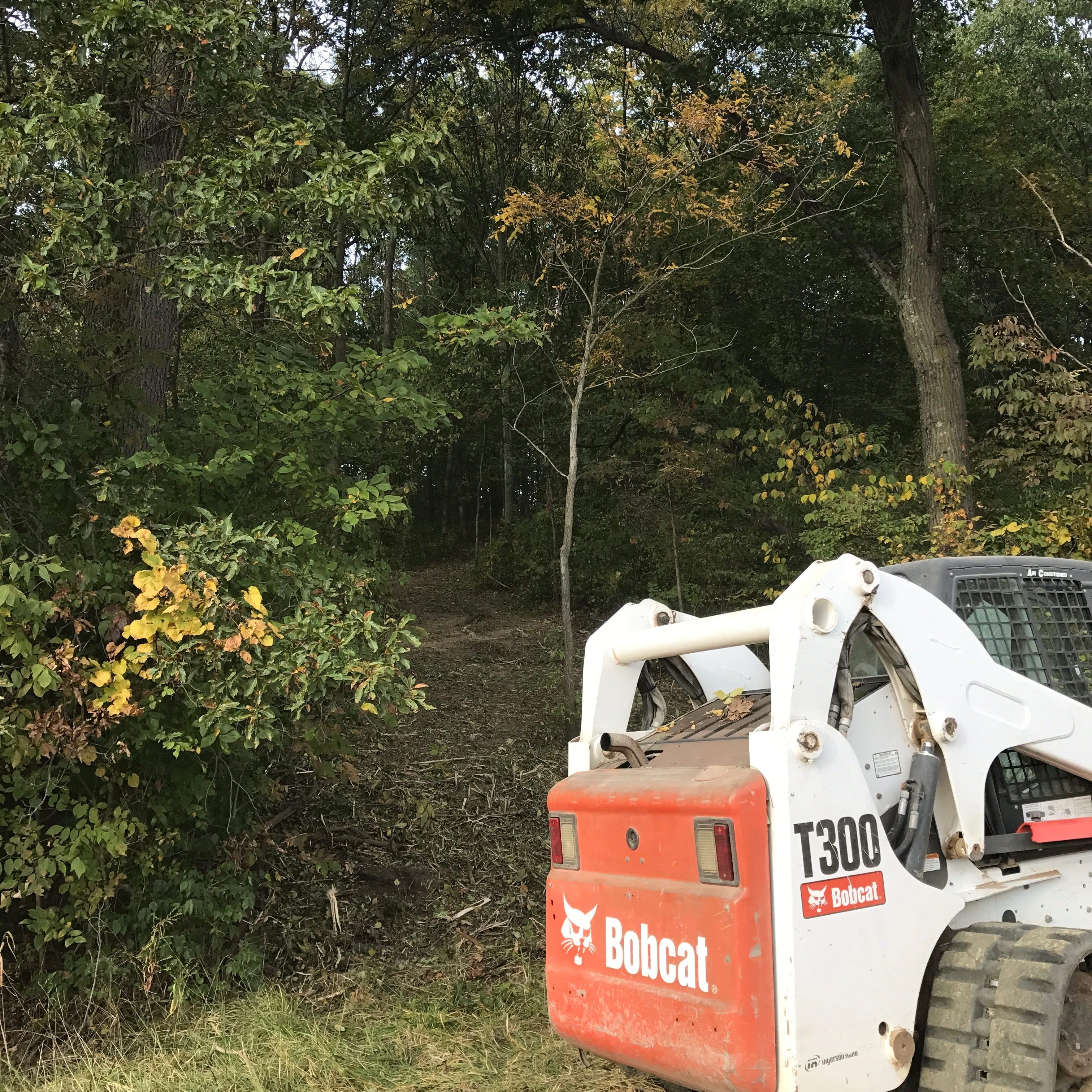 Forestry mulching trails in woods 